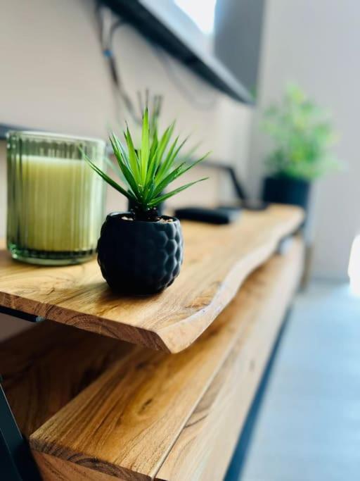 Appartement Tropical Liège Extérieur photo